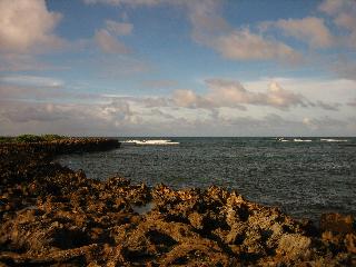 submitted by SharonH