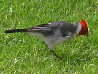 submitted by SharonH