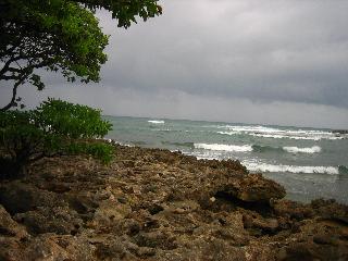 submitted by SharonH