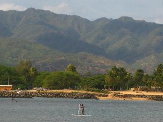 submitted by SharonH