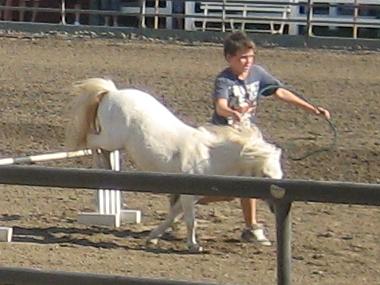 photograph by Russell Holder