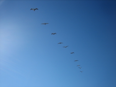 photograph by Russell Holder