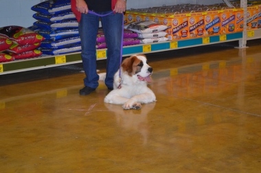 photograph by Russell Holder