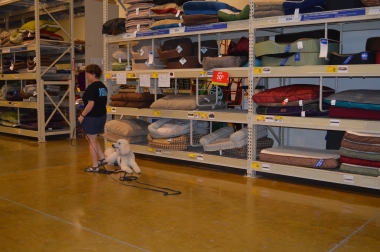 photograph by Russell Holder