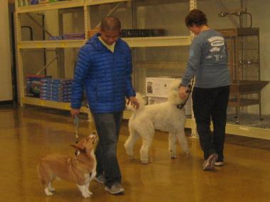 photograph by Russell Holder