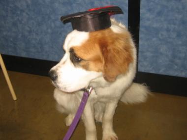 photograph by Russell Holder