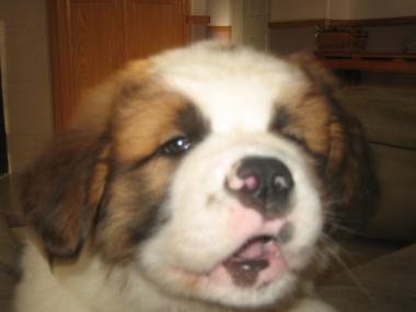 photograph by Russell Holder