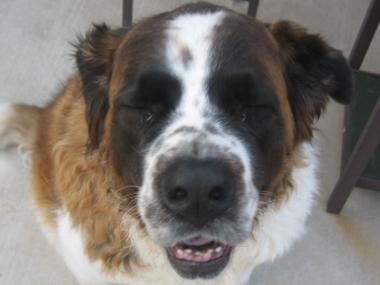 photograph by Russell Holder